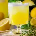 authentic limoncello 2026 03 24 063506 1
